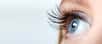 À quoi servent les clignements des yeux si ce n'est à humidifier la cornée ? © Vladimir Voronin, Adobe Stock